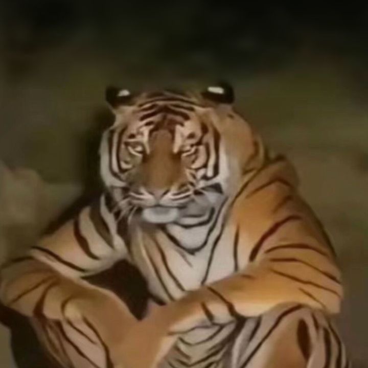 buy tiktok account