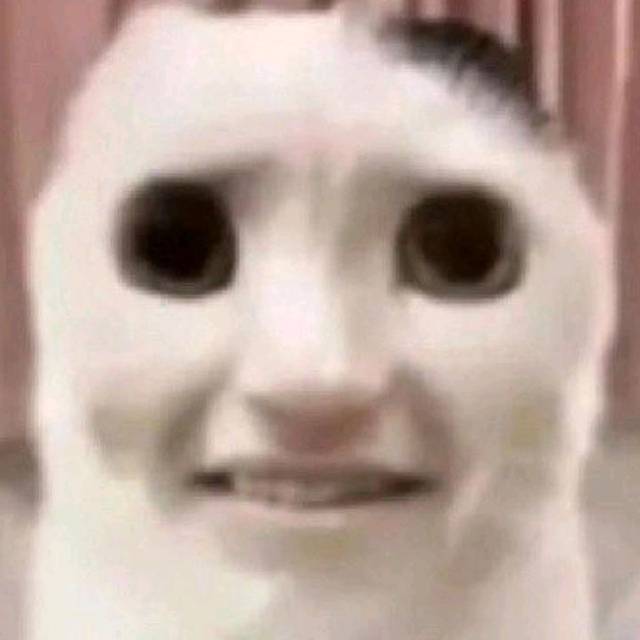 buy tiktok account