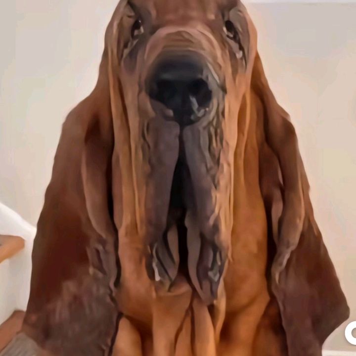 buy tiktok account
