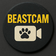 buy youtube channel