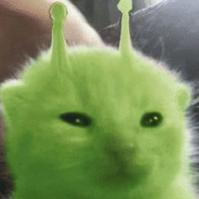 buy tiktok account