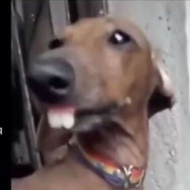 buy tiktok account