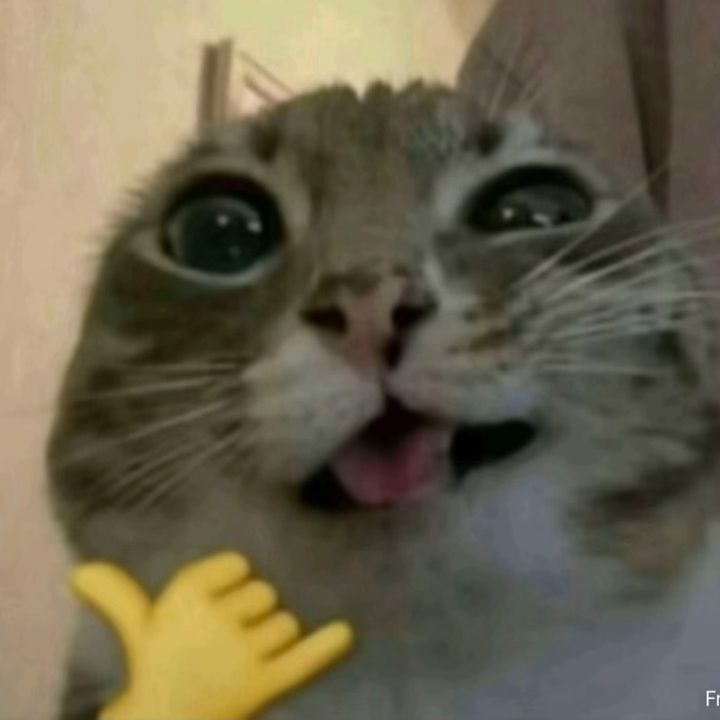 buy tiktok account