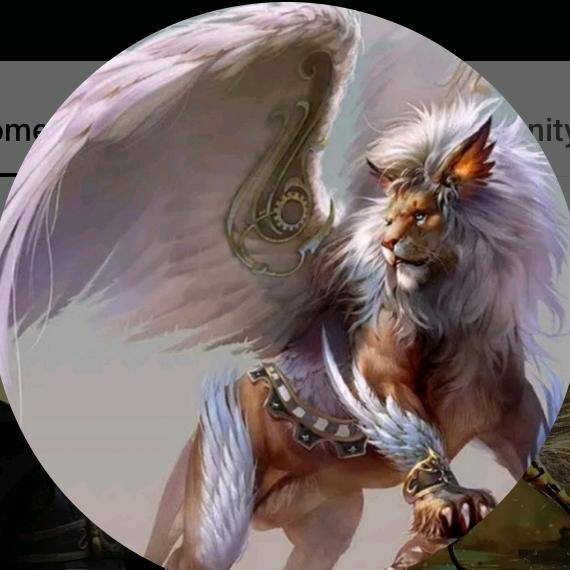 buy  account ******ogyyt41