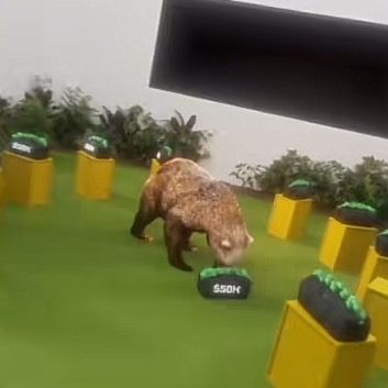 buy tiktok account