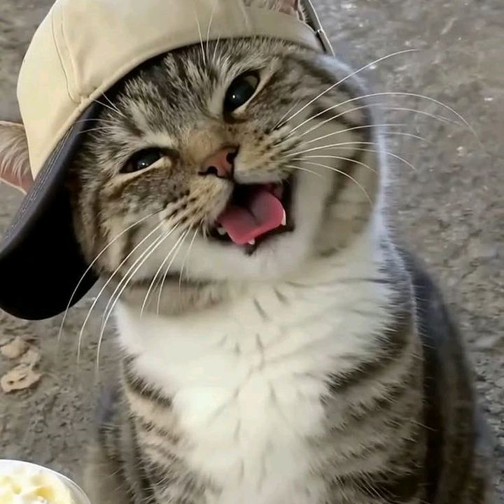 buy tiktok account