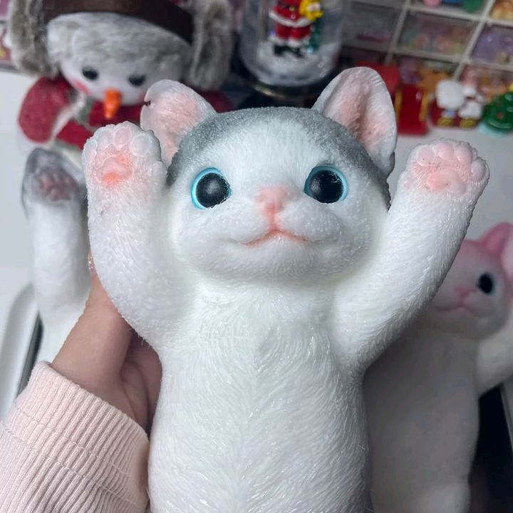 buy tiktok account