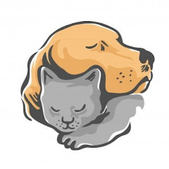buy youtube channel