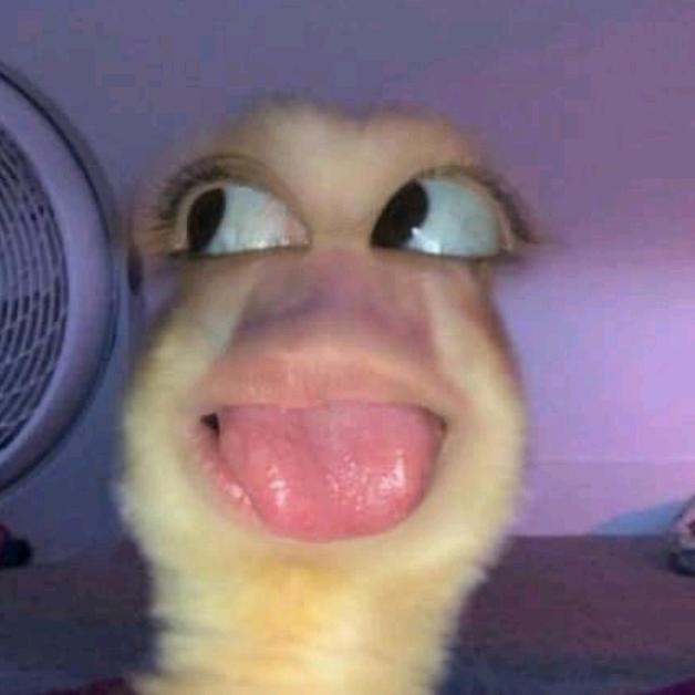 buy tiktok account
