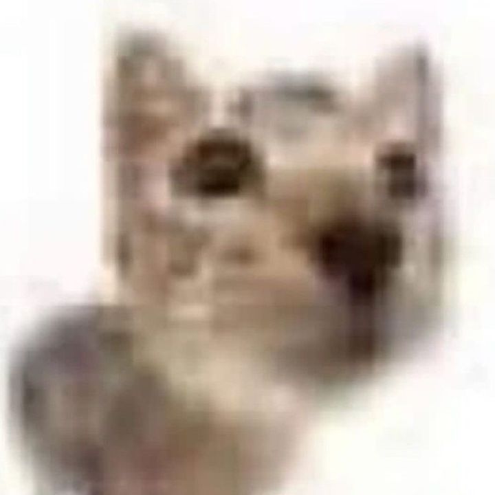 buy tiktok account