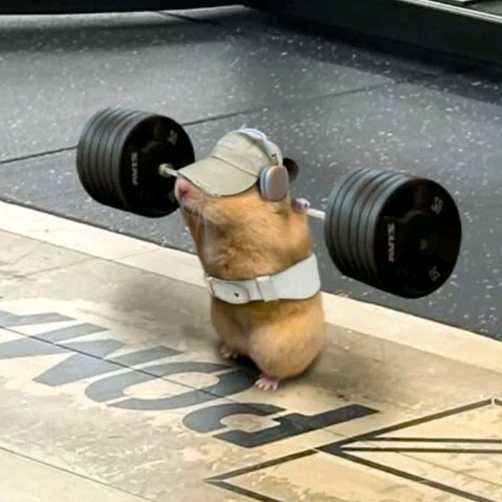 buy tiktok account