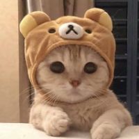 buy tiktok account
