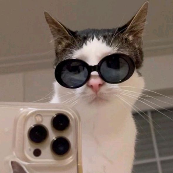 buy tiktok account