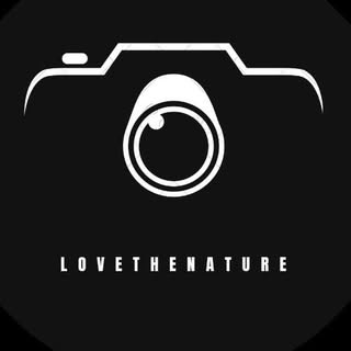 buy theme page