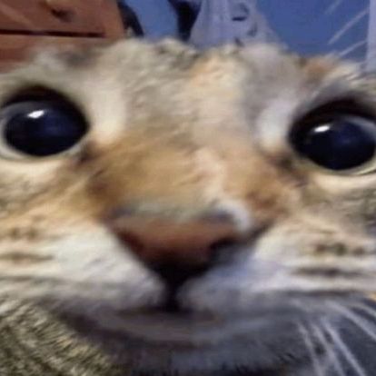 buy tiktok account