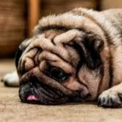 buy youtube channel