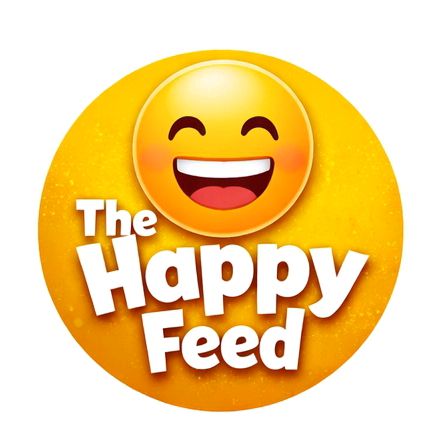 buy  account *******yfeedtv
