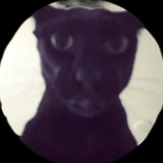 buy theme page