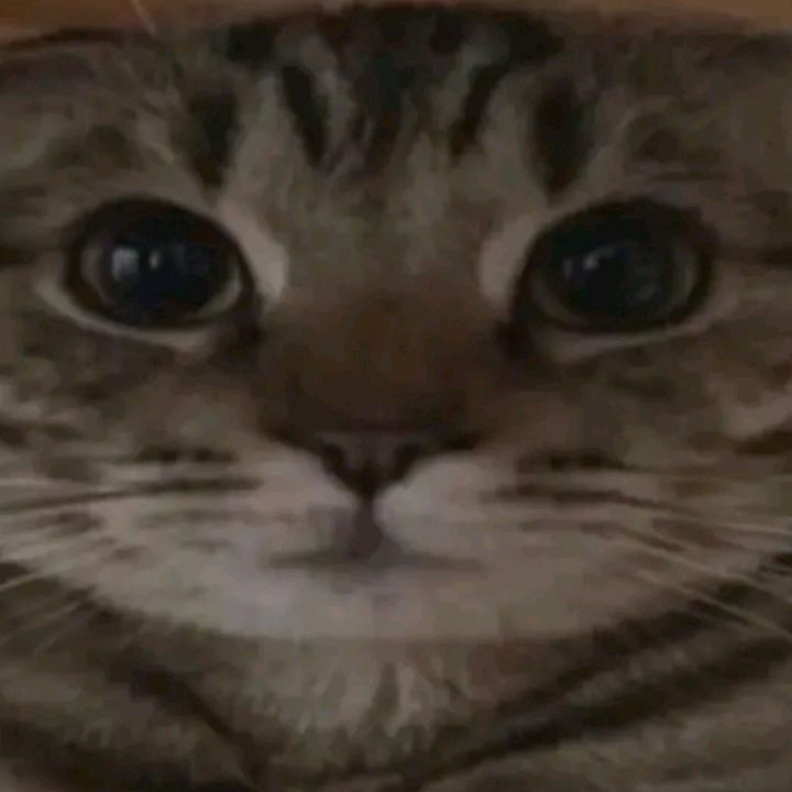 buy tiktok account