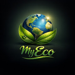 buy  account ***Eco