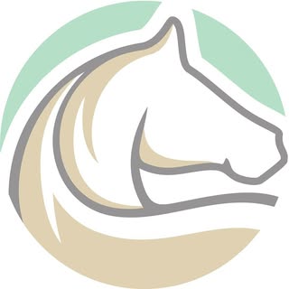 buy theme page