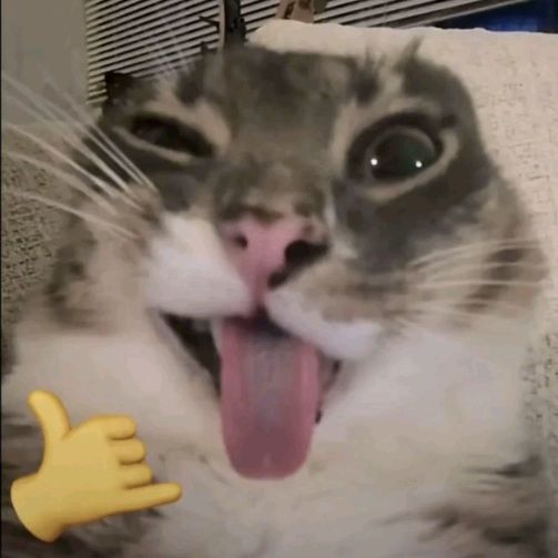 buy tiktok account