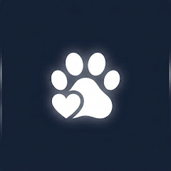 buy youtube channel