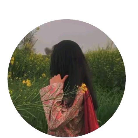buy tiktok account