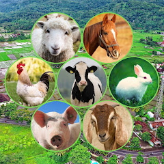 buy  account ******farming