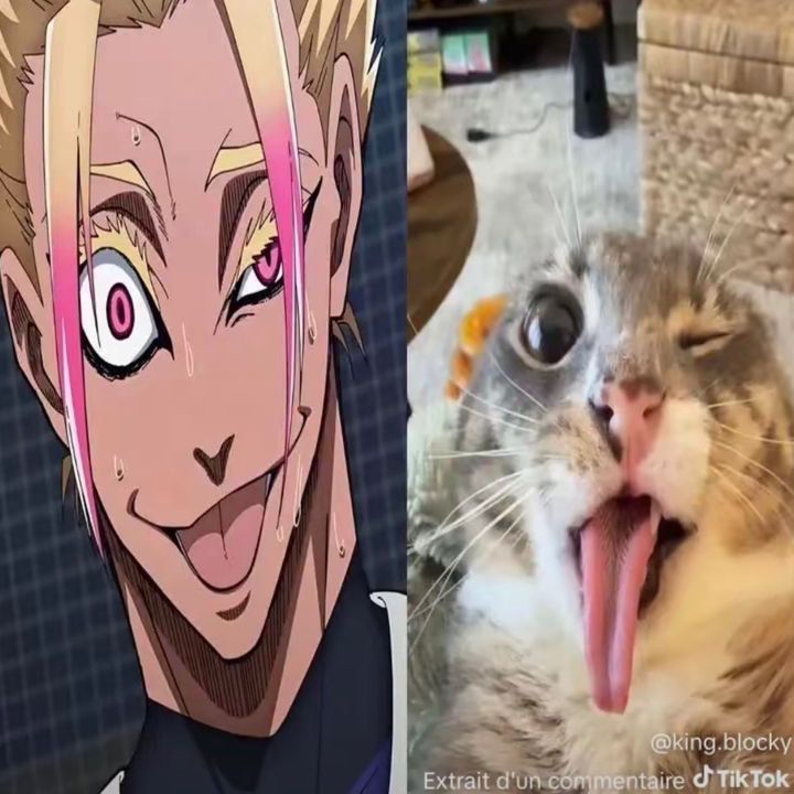 buy tiktok account