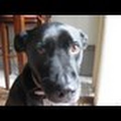 buy youtube channel