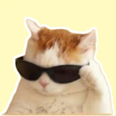 buy  account ****** Fried