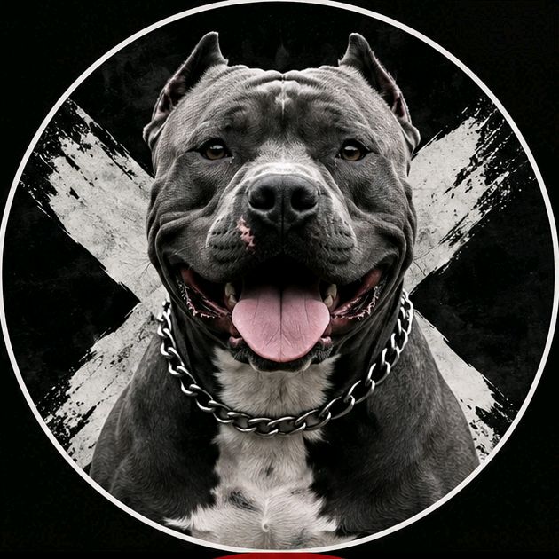 buy  account ******llpaws