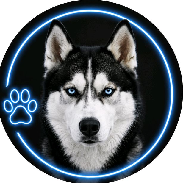 buy  account *****hussky