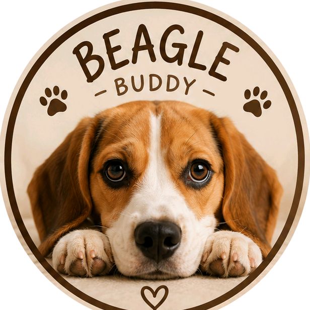 buy  account ******ebuddy