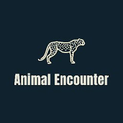 buy youtube channel