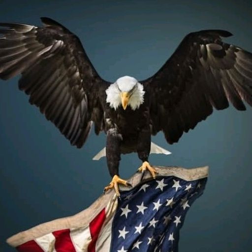 buy  account *******orm_usa