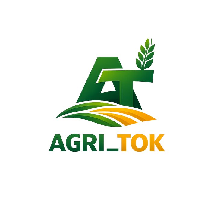 buy account ****_tok_ buy account ****_tok_