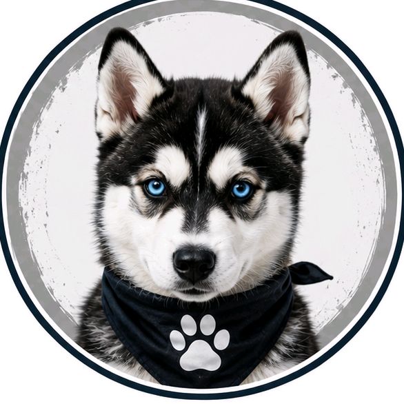 buy theme page ****kyhub