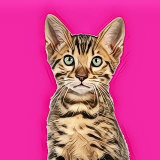 buy theme page
