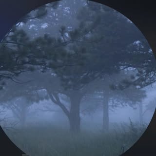 buy theme page