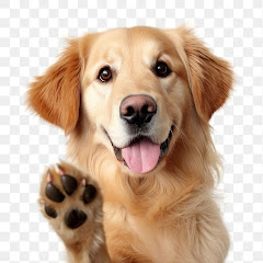 buy youtube channel