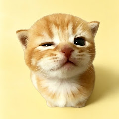 buy theme page *******reMichis