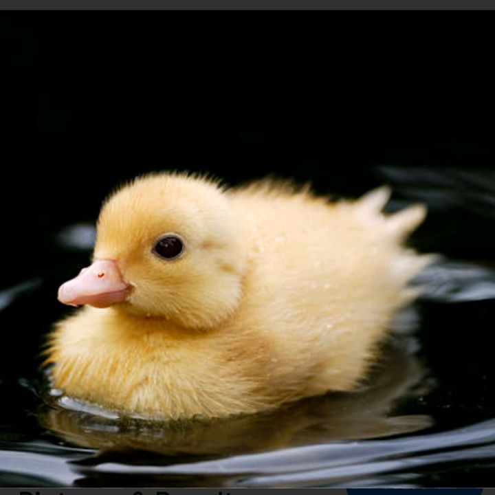 buy  account *****uck286