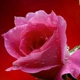 buy account ******geo147 buy account ******geo147