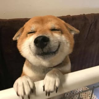 buy theme page