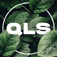 buy theme page *******clipsqls