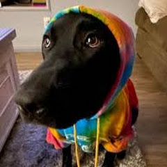 buy youtube channel