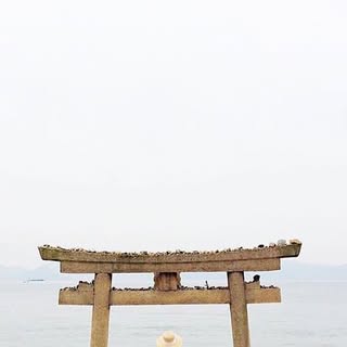 buy theme page