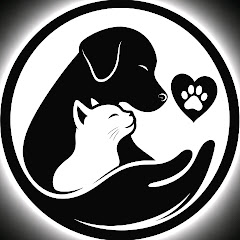 buy youtube channel